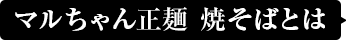 マルちゃん正麺 焼そばとは